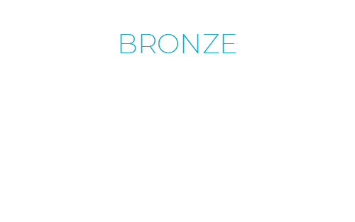Carioca IP_bronze_wt_inst_500px